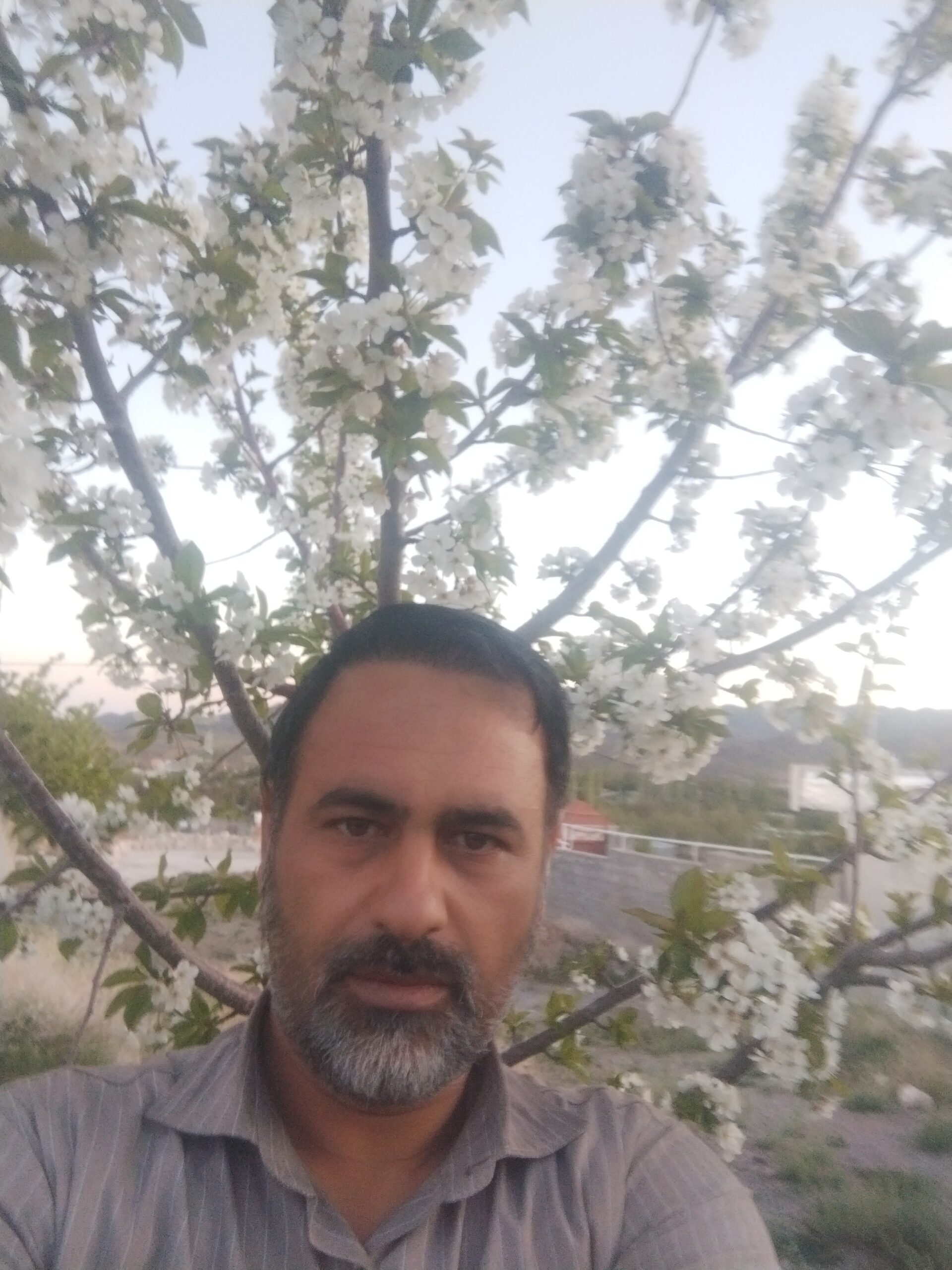 سید ابوذر موسوی
